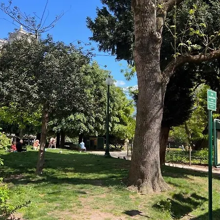 A Gem At Notre Dame * 파리