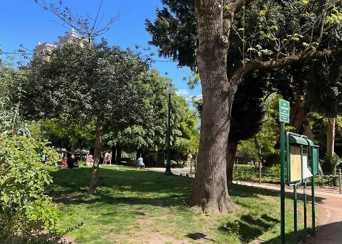 A Gem At Notre Dame * Paris